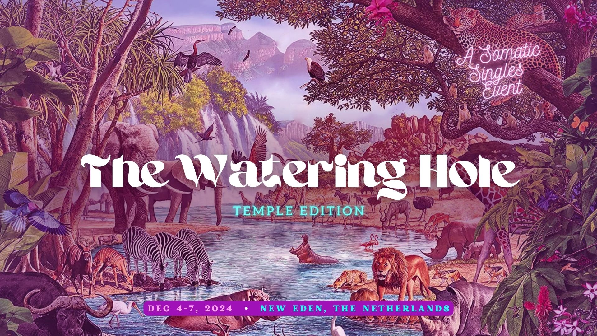 The Watering Hole ໑ Temple Edition ໑ SOLD OUT!