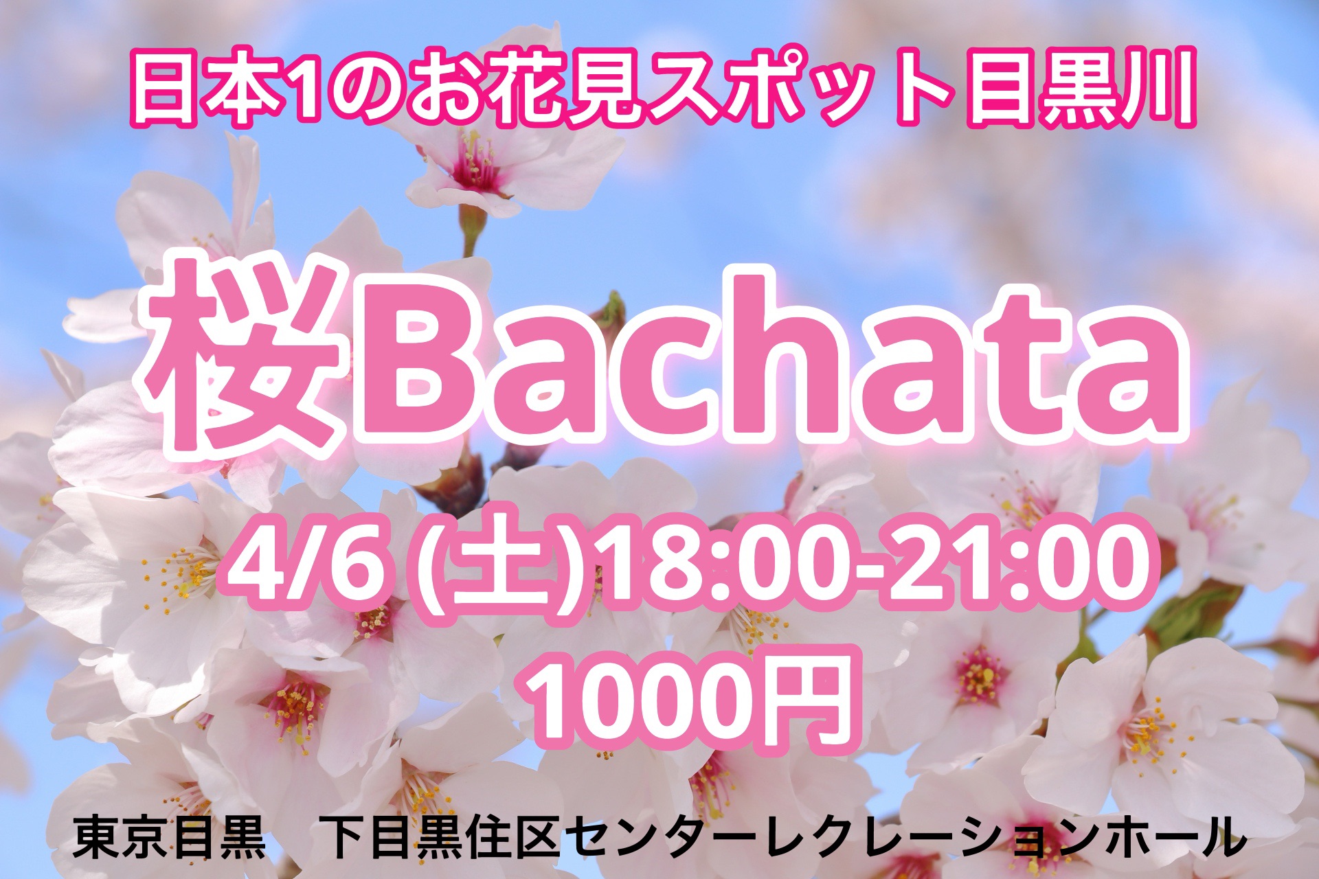4 6 (土)🌸桜Bachata