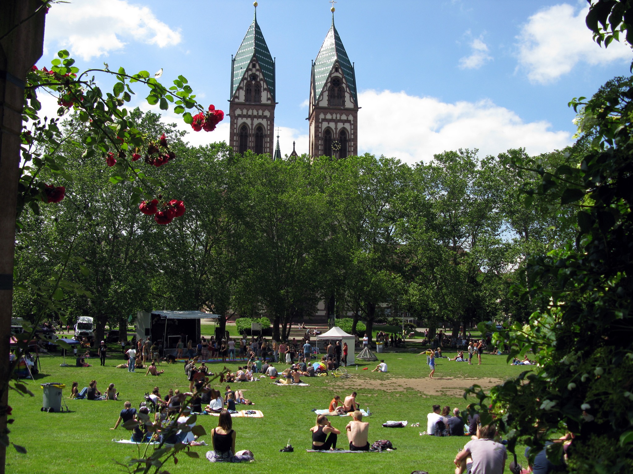 Salsa & Picknick