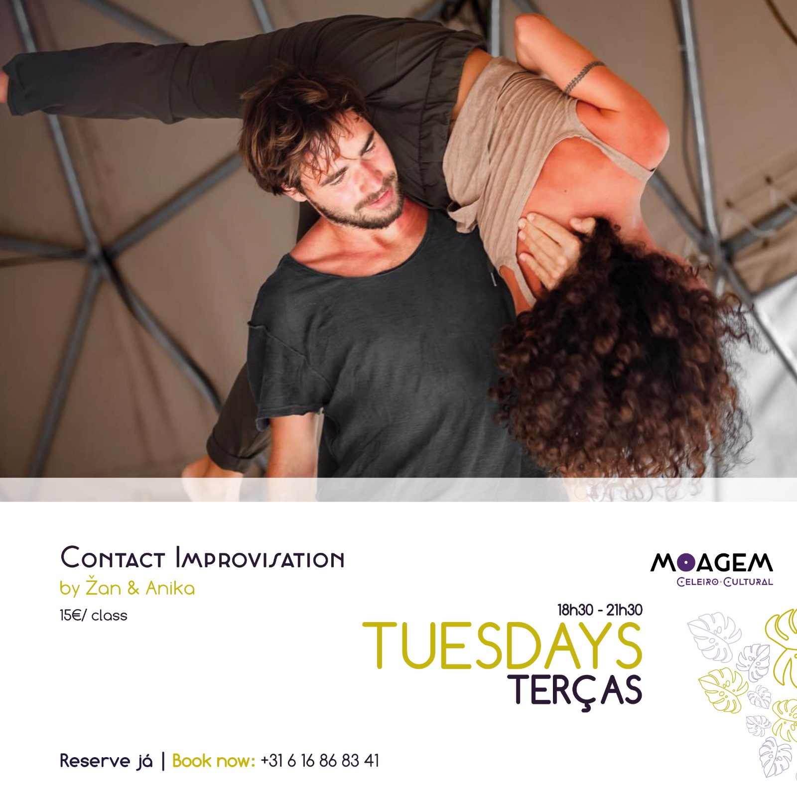 Contact Improvisation (CI) Essentials for Beginners Intermediate