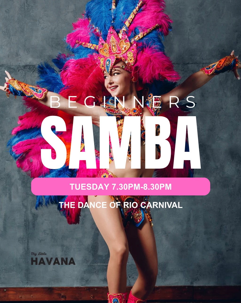 2026 Samba for Beginners Start February 10