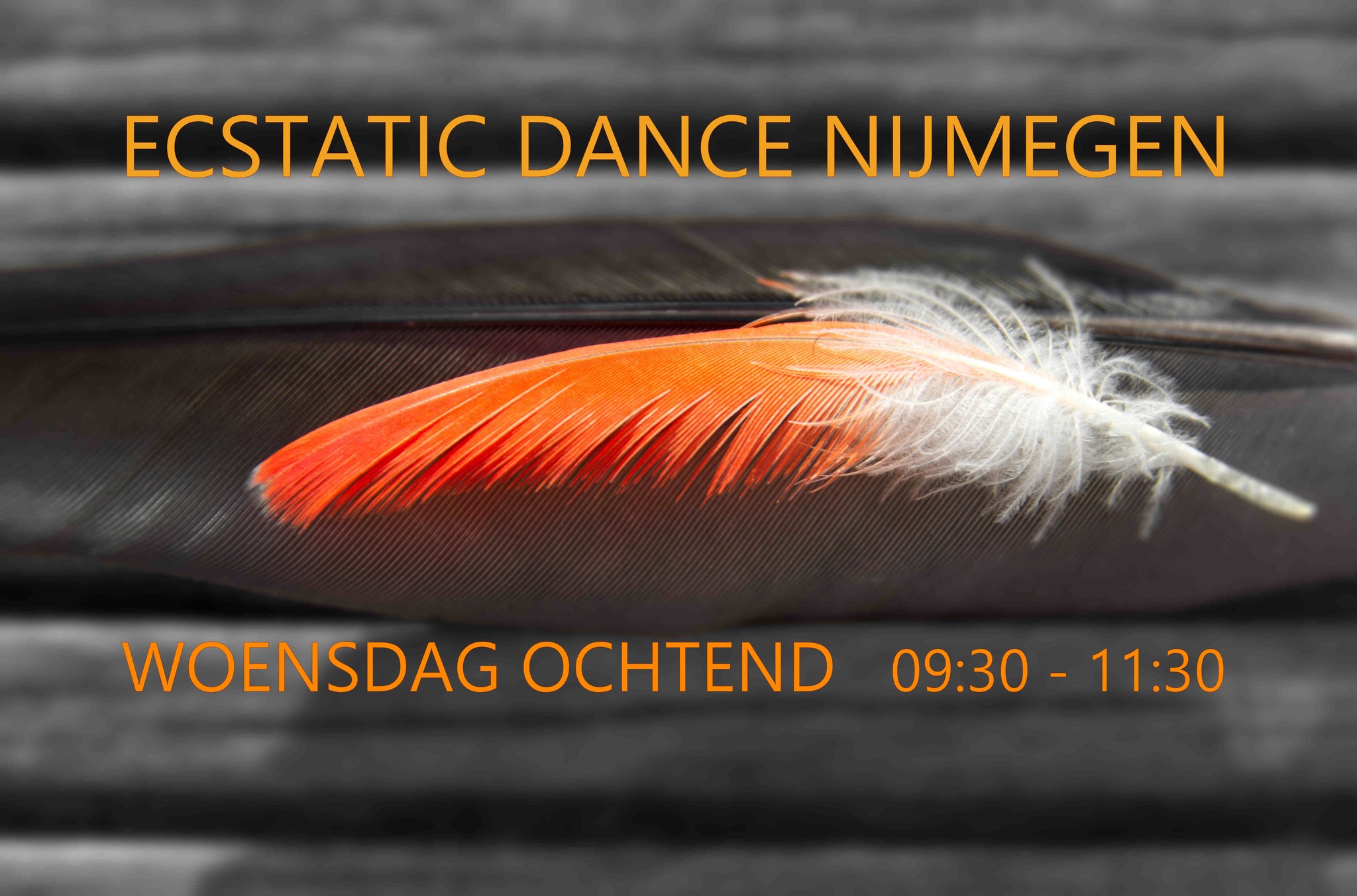 Ecstatic Dance Nijmegen │ DJ The O'Berlie │ Woensdagochtend