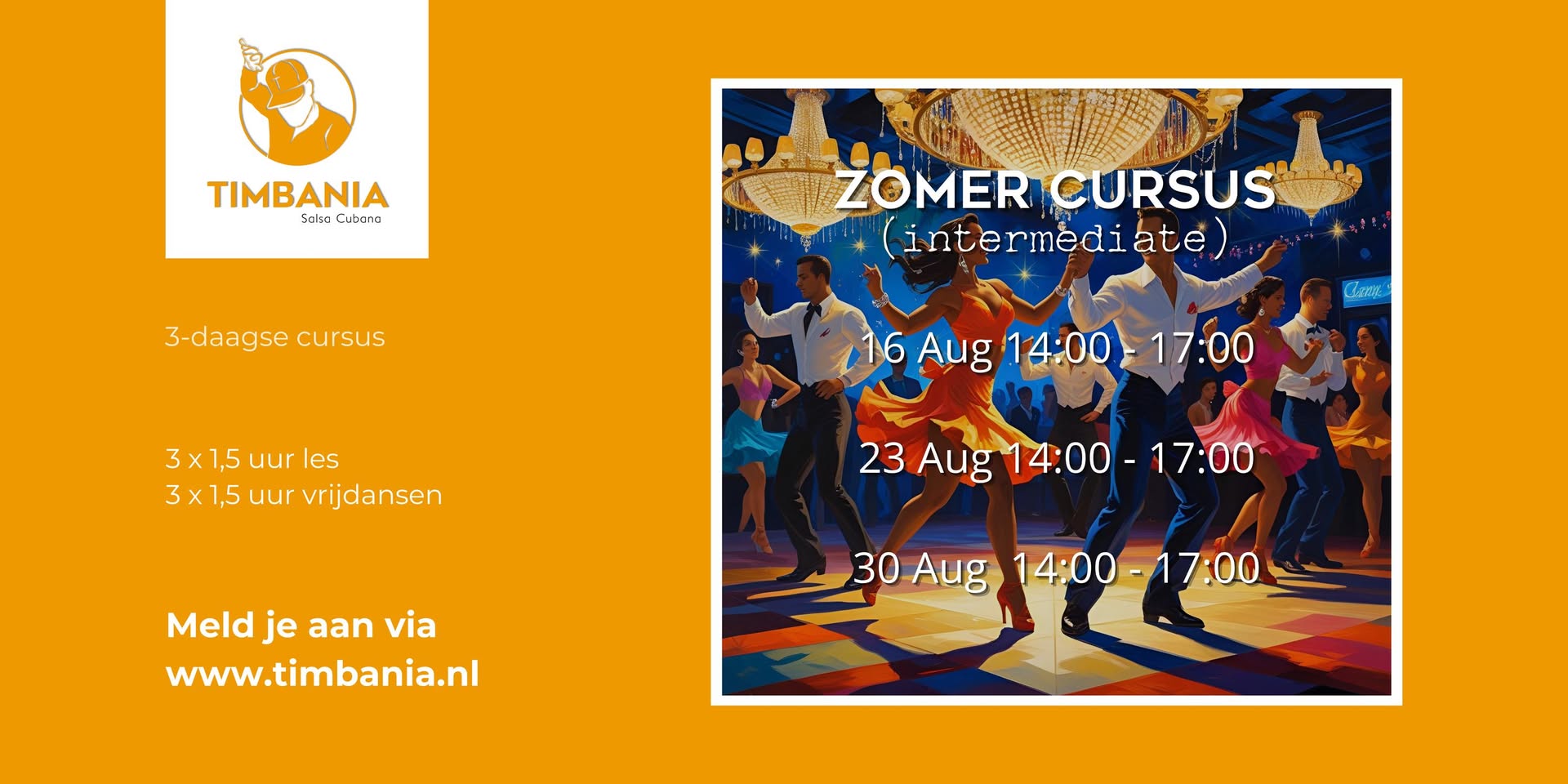 Zomer Cursus Timbania