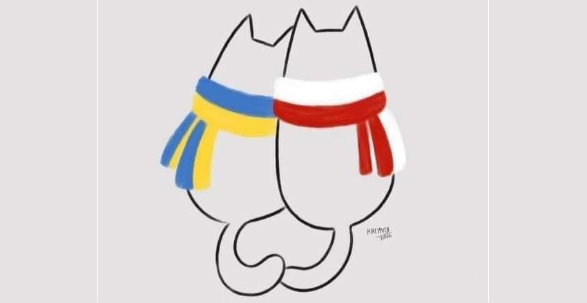 Tango & Cats - pomoc dla kocich uchodźców