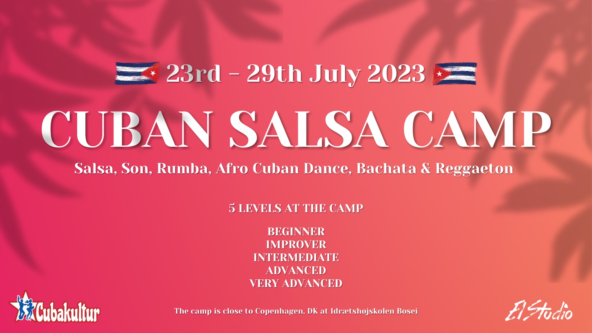 Cuban Salsa Summer Camp in Denmark 23th - 29th July 2023