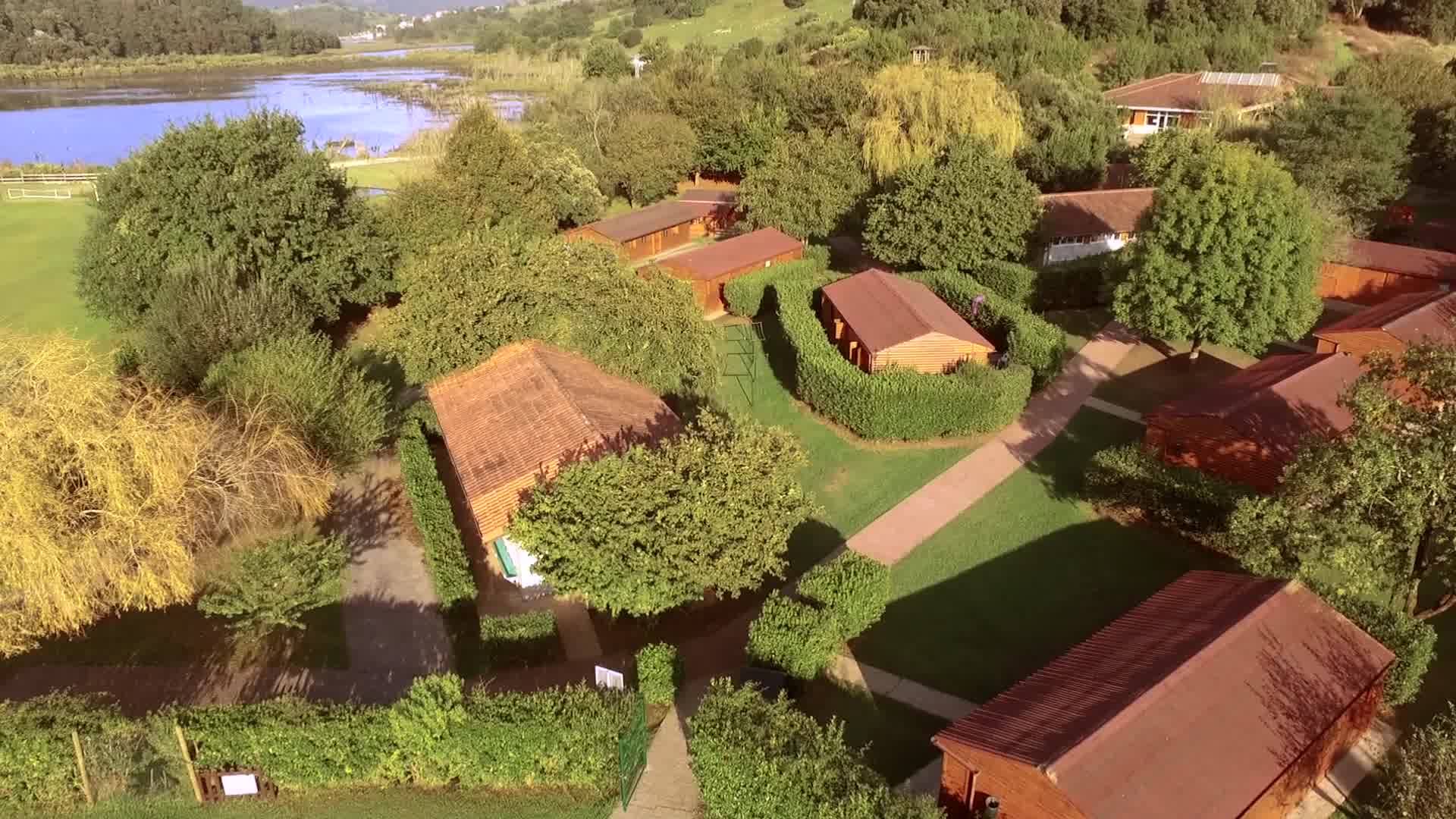 Swingmazo: Naturaleza, música y bailes swing