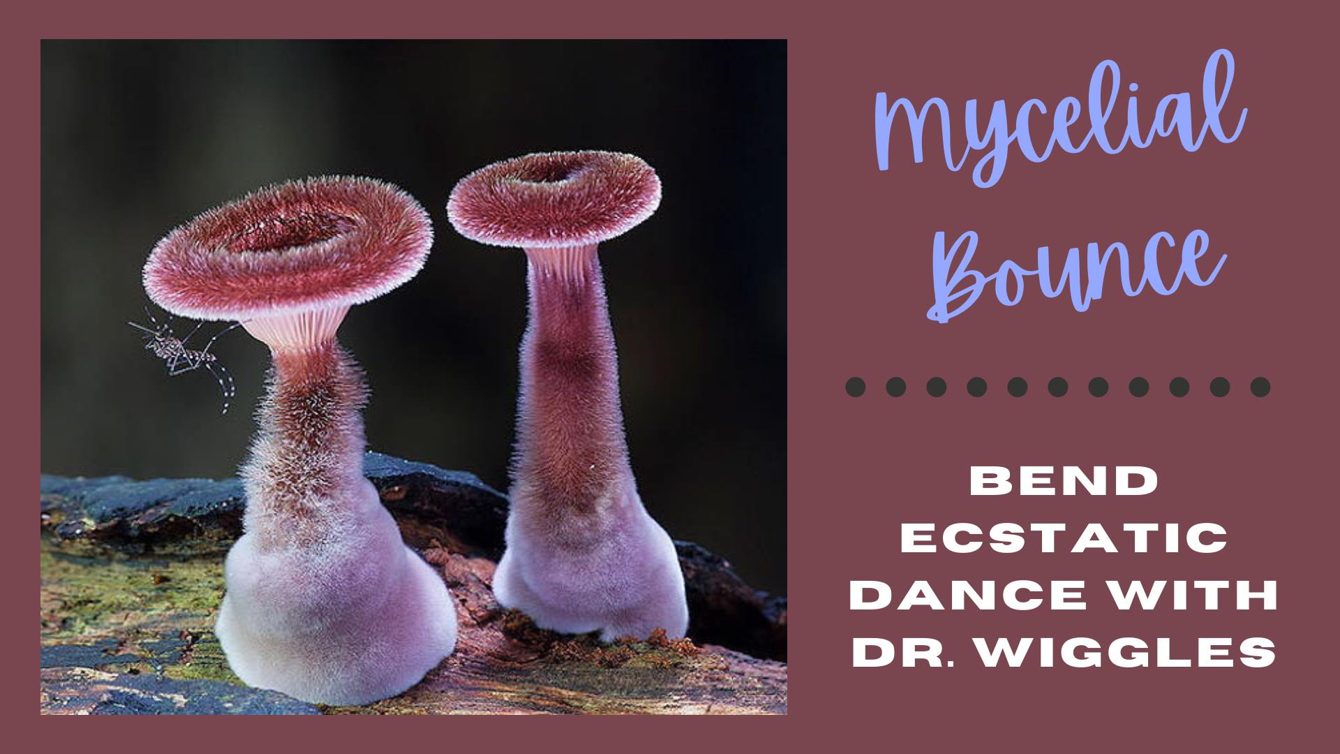 Bend Ecstatic Dance with Dr. Wiggles