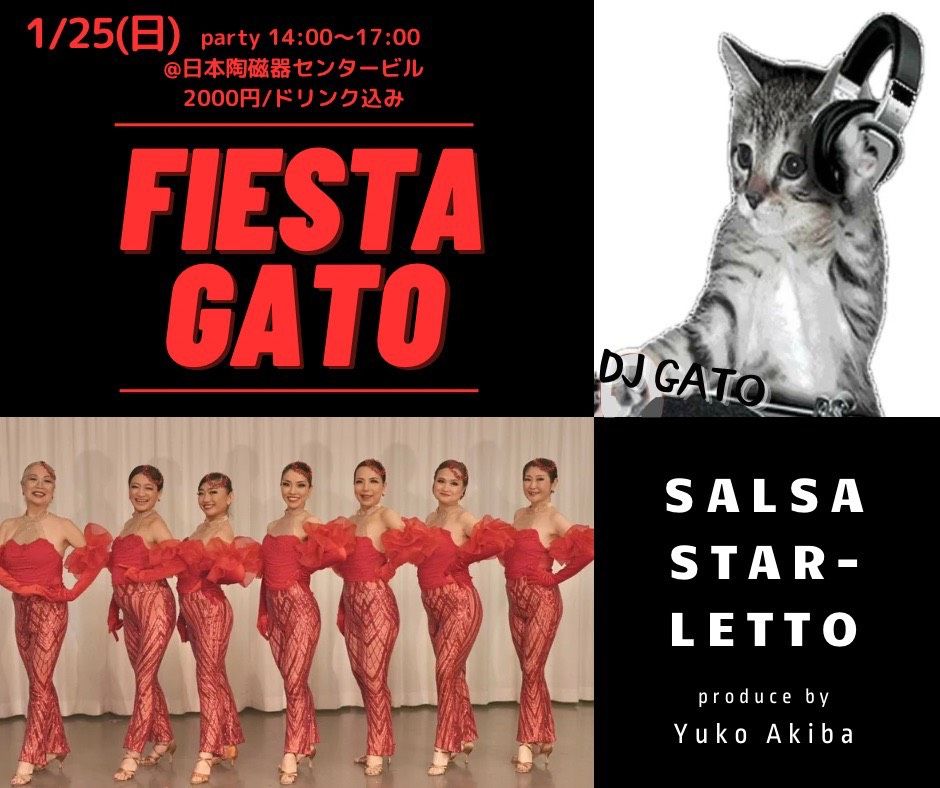 FIESTA GATO