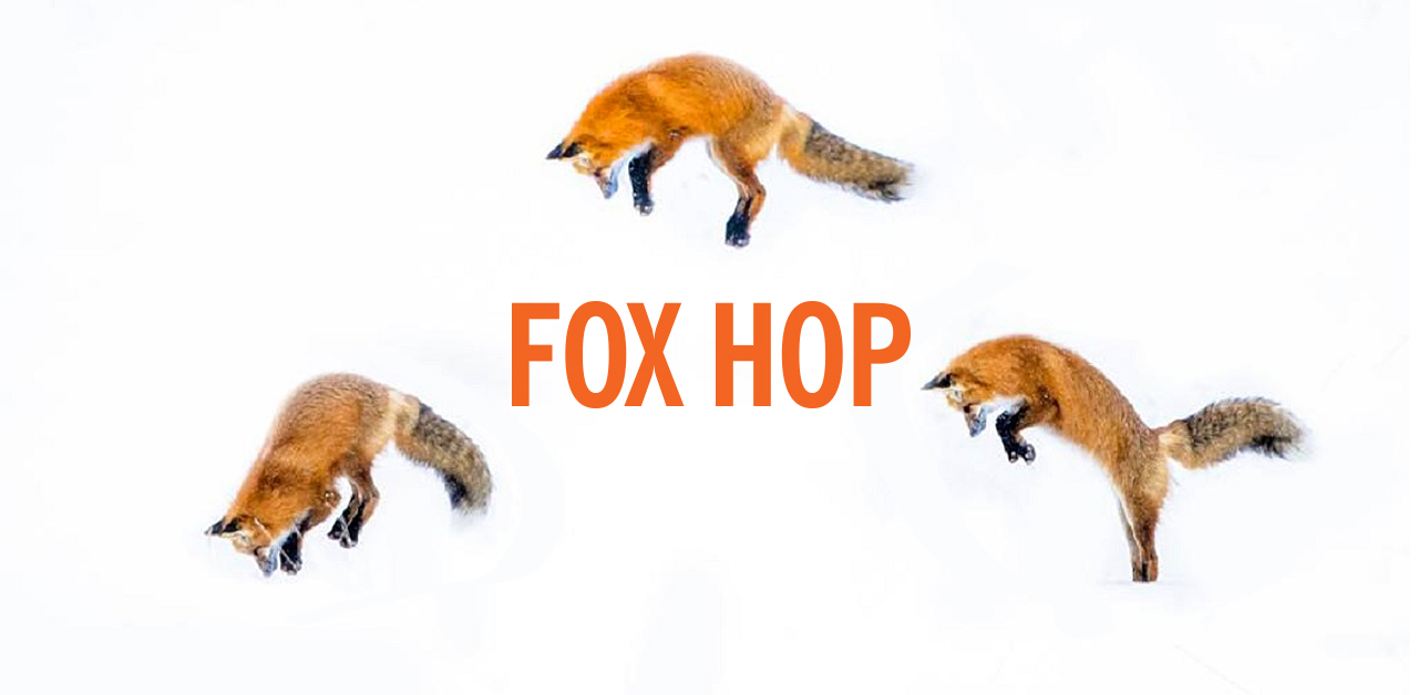 Fox Hop