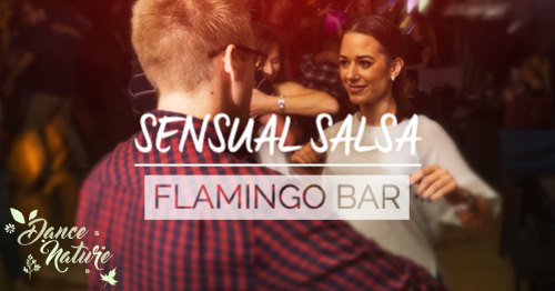 Sensual Salsa Fever & Dance Nature Flamingo Bar
