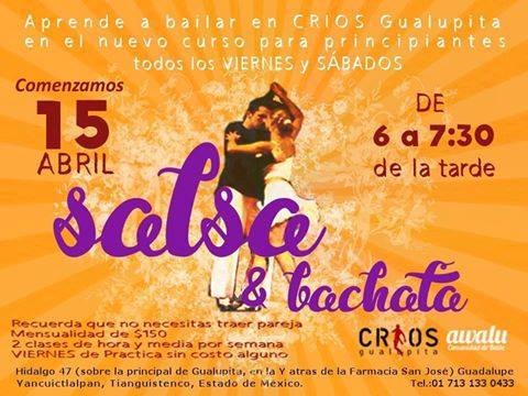 Nuevo Curso de Salsa en CRIOS