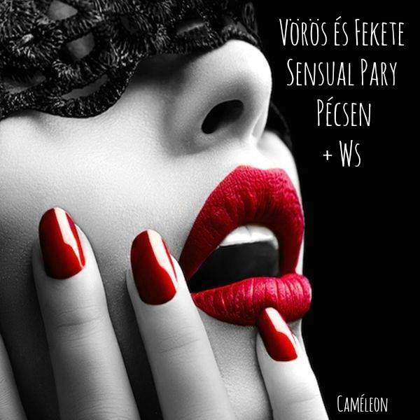 Vörös és Fekete Sensual Party Pécsen