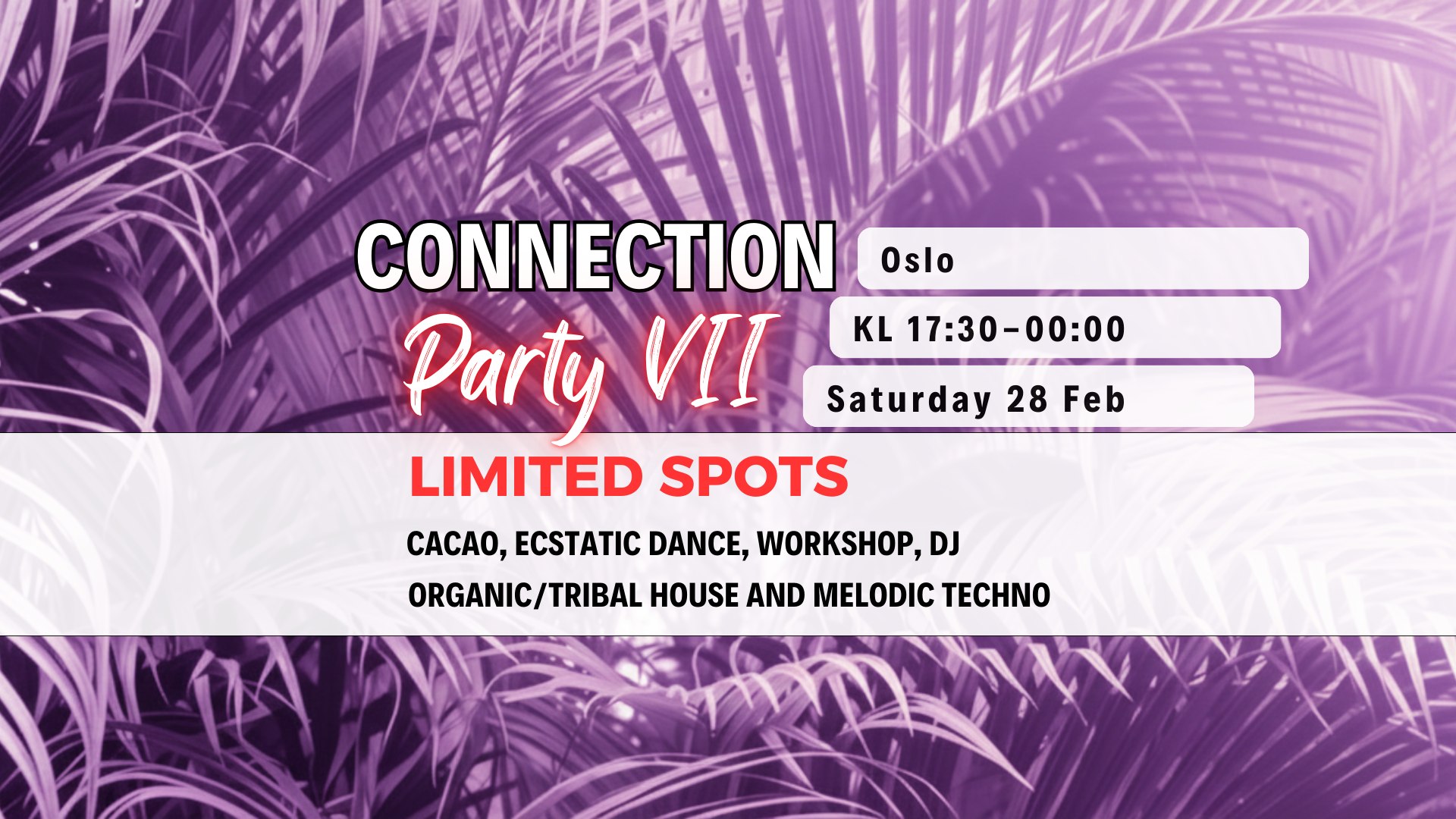 CONNECTION PARTY VII - CACAO - ECSTATIC DANCE - WORKSHOP -DJ