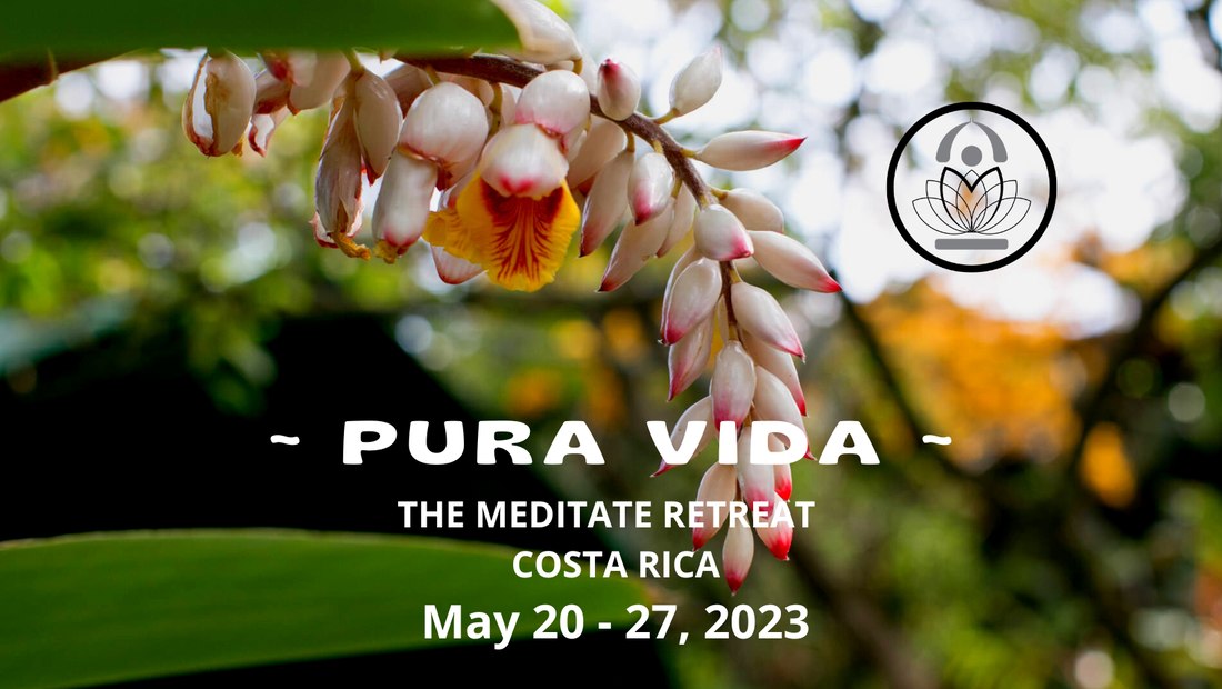 Pura Vidra: The Meditate Retreat Costa Rica