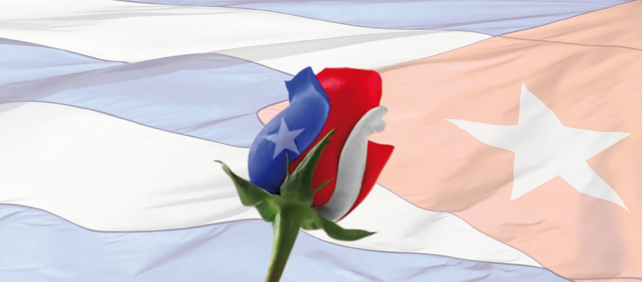 Fiesta Boricua!! Salsa de Portorico y mucho mas..