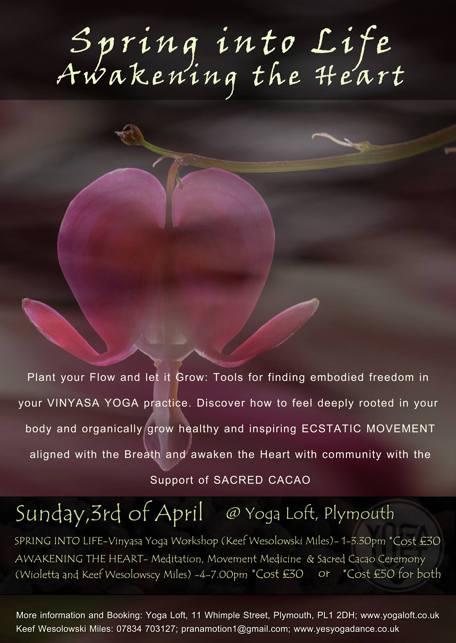 Spring into Life - Awaken the Heart