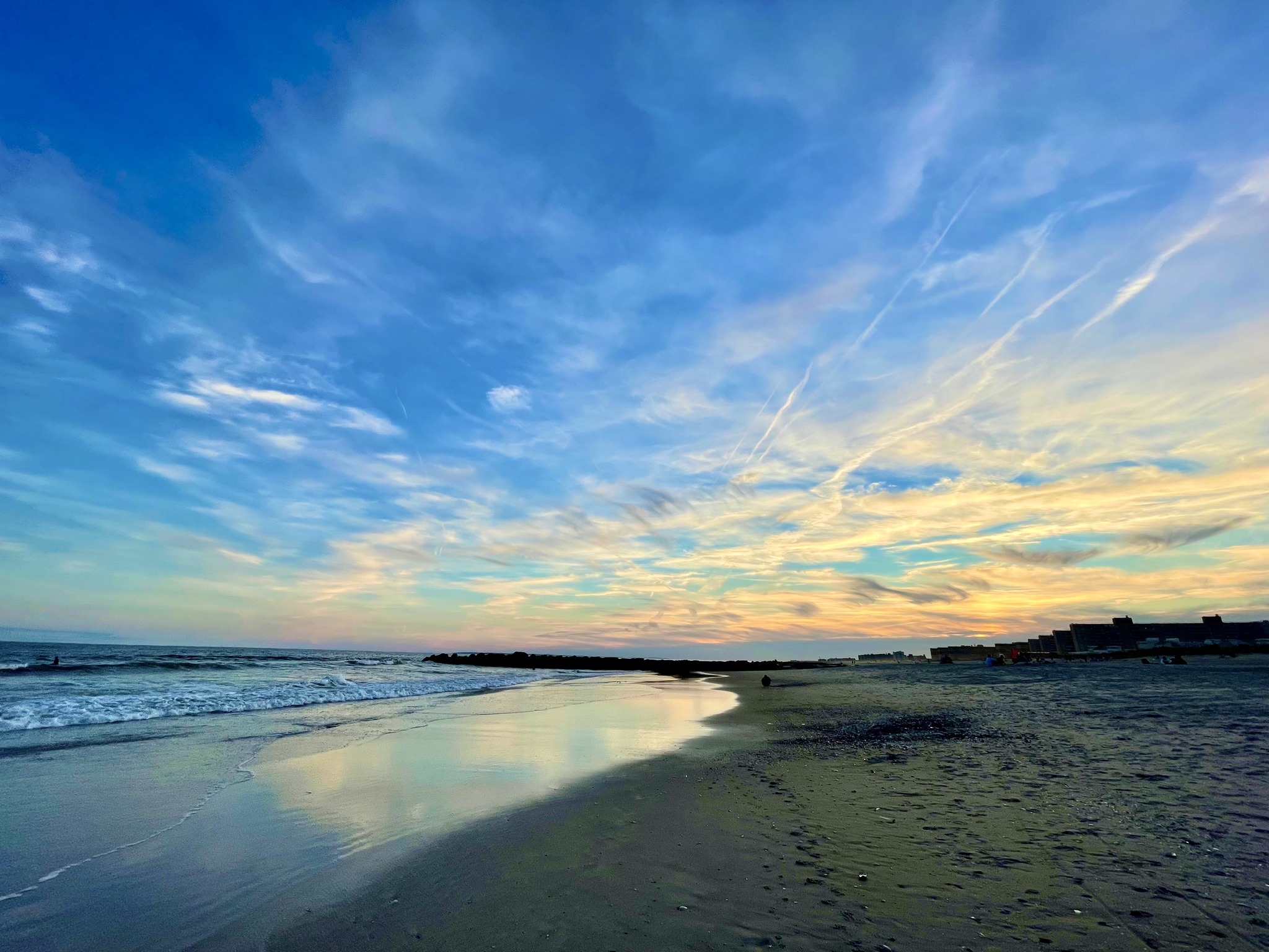 Westie Beach Day - Far Rockaway, Queens