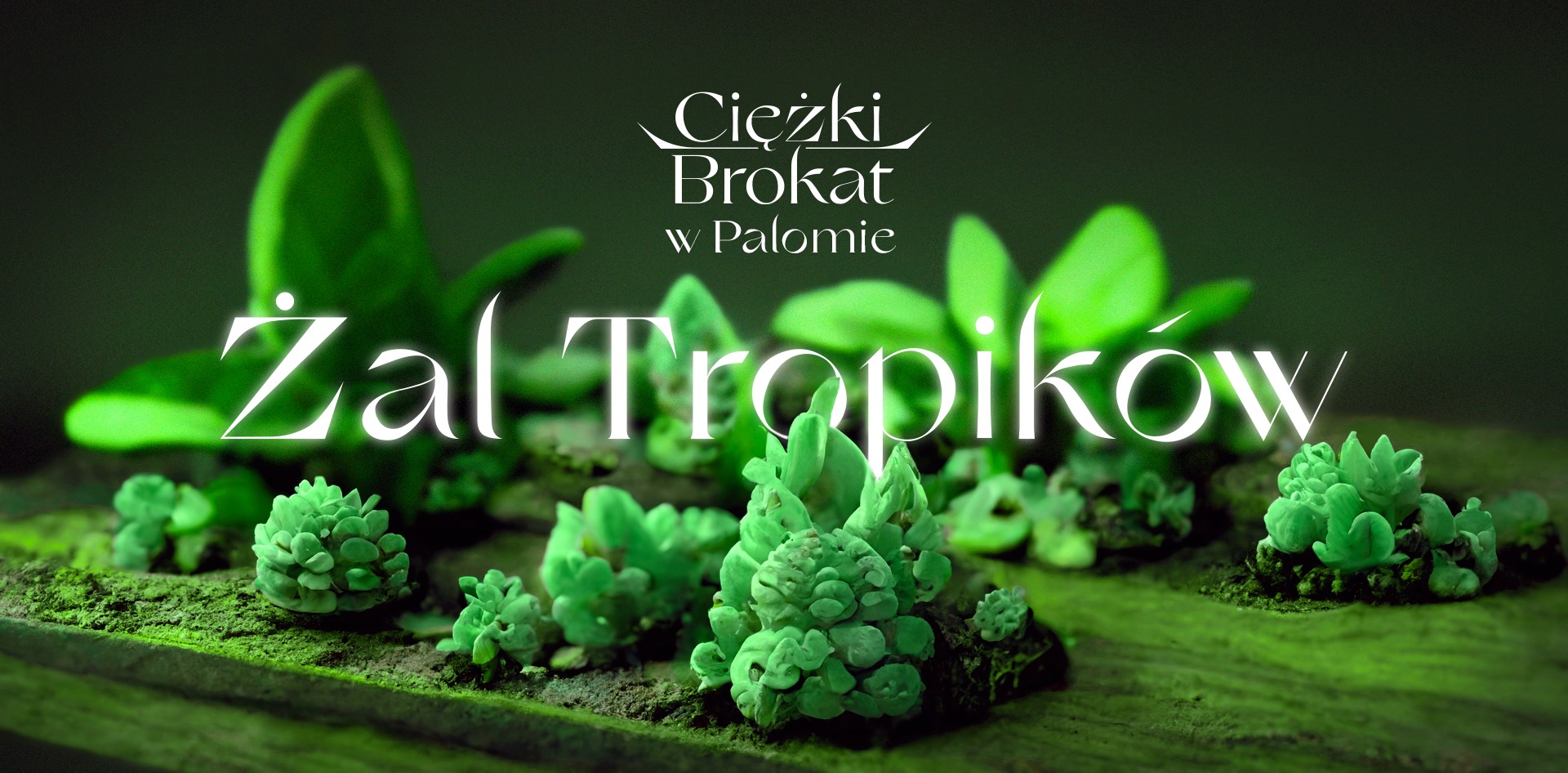 Ciężki Brokat w Palomie: ŻAL TROPIKÓW