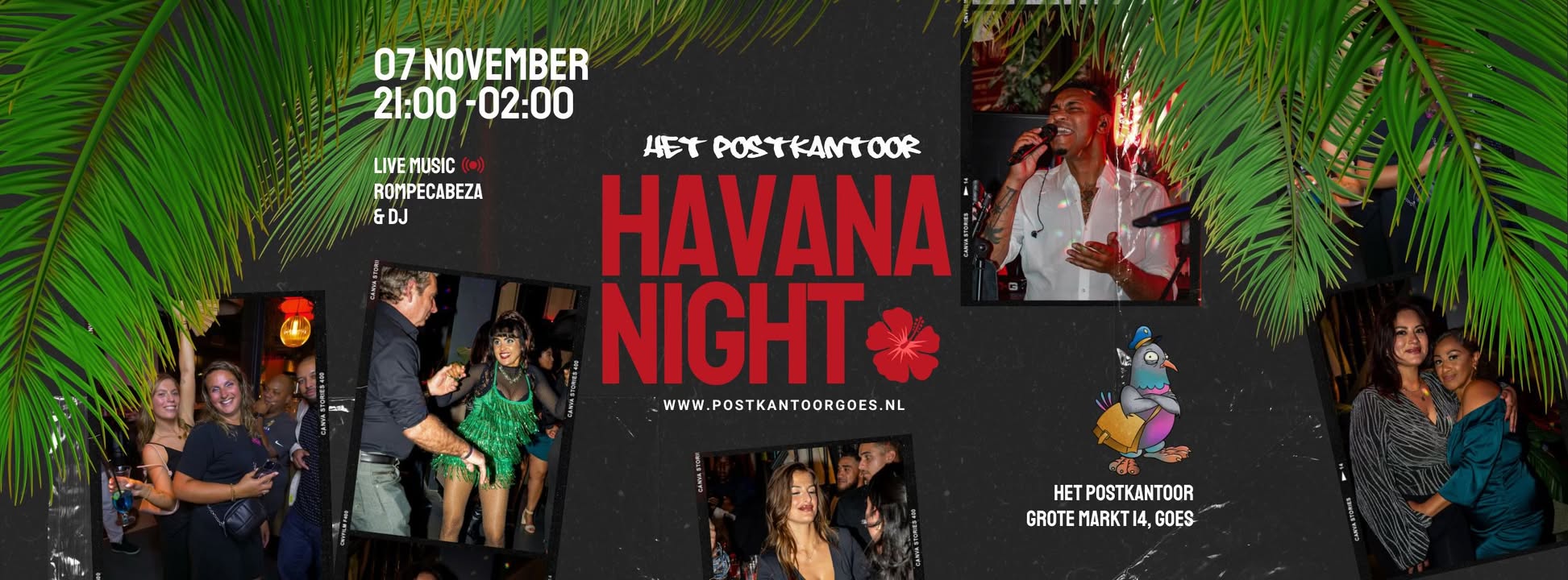 Havana Night ππ»π₯