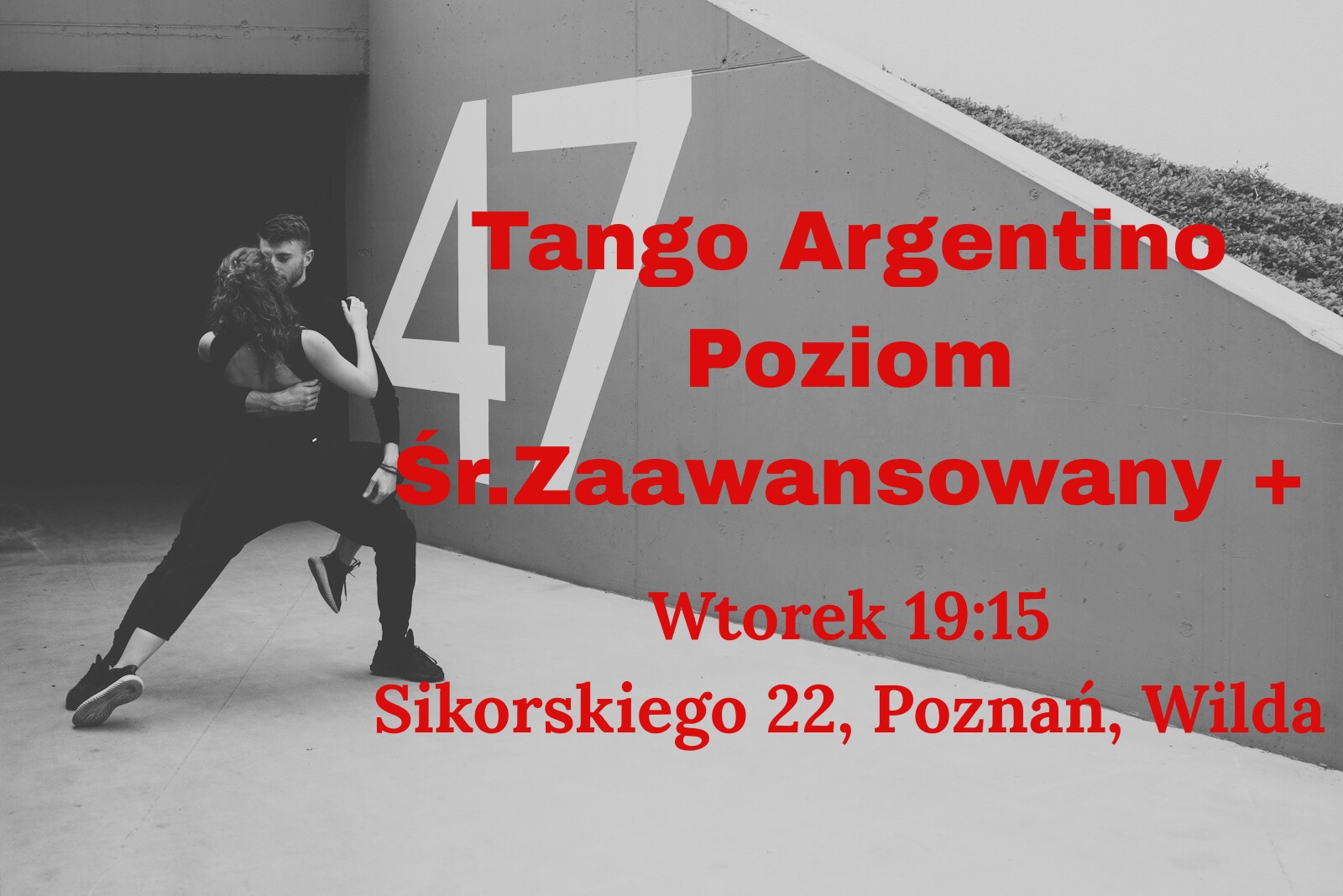 Tango Argentino - Regularna Grupa Poziom Śr.Zaaw. Zaawansowany
