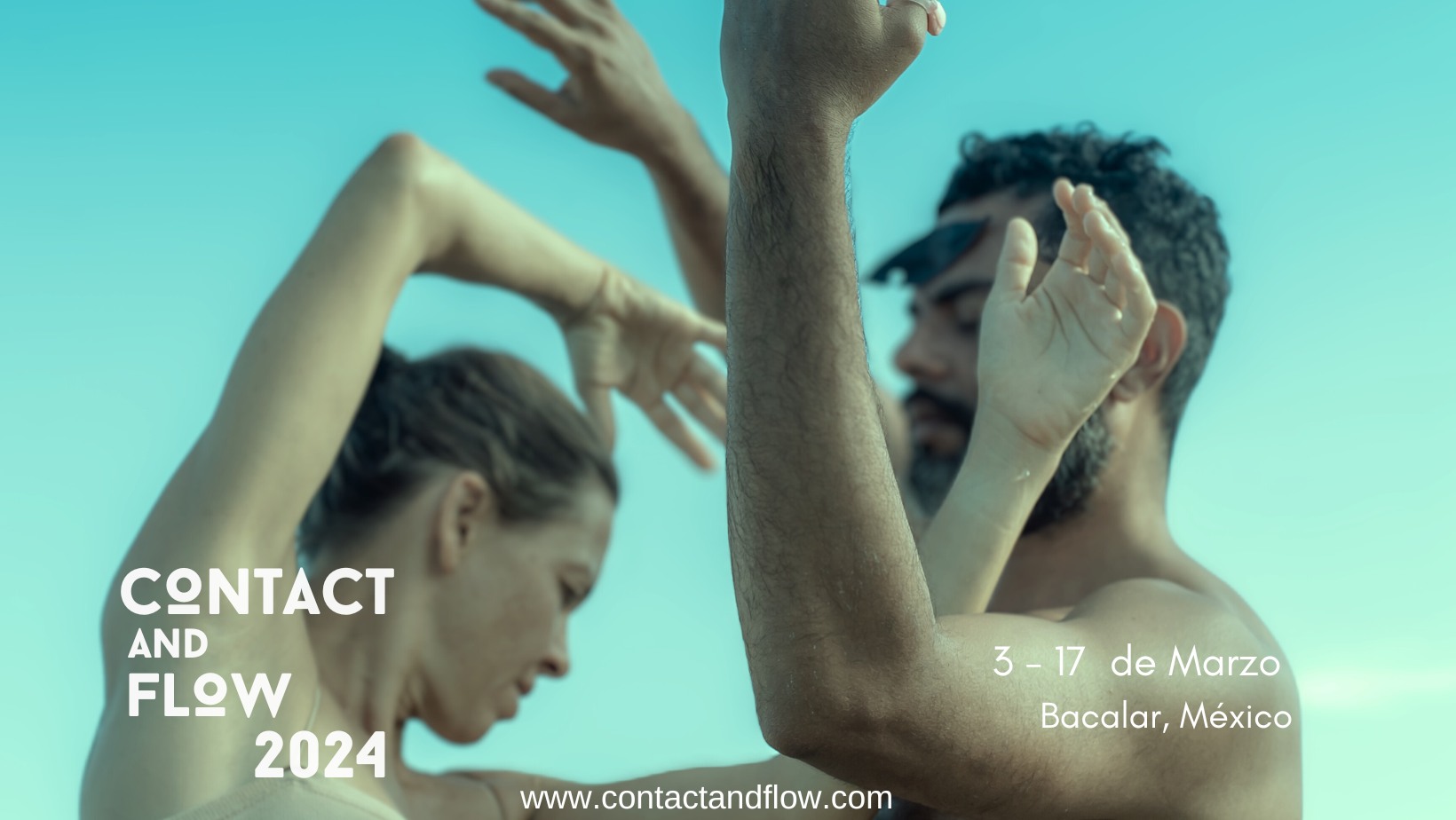 Contact and Flow 2024
