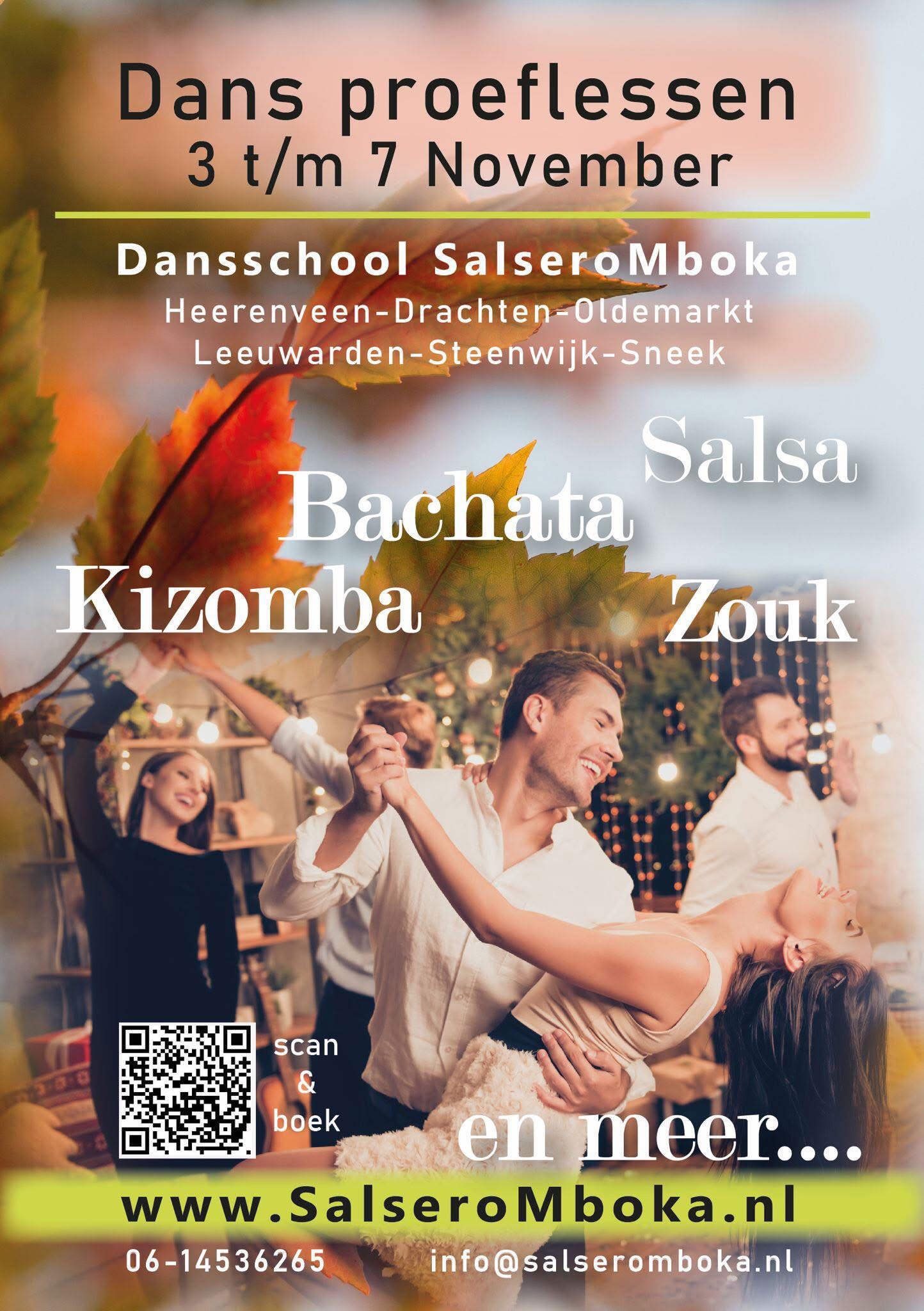 Dans Proeflessen Try-Outs Classes November Cursussen