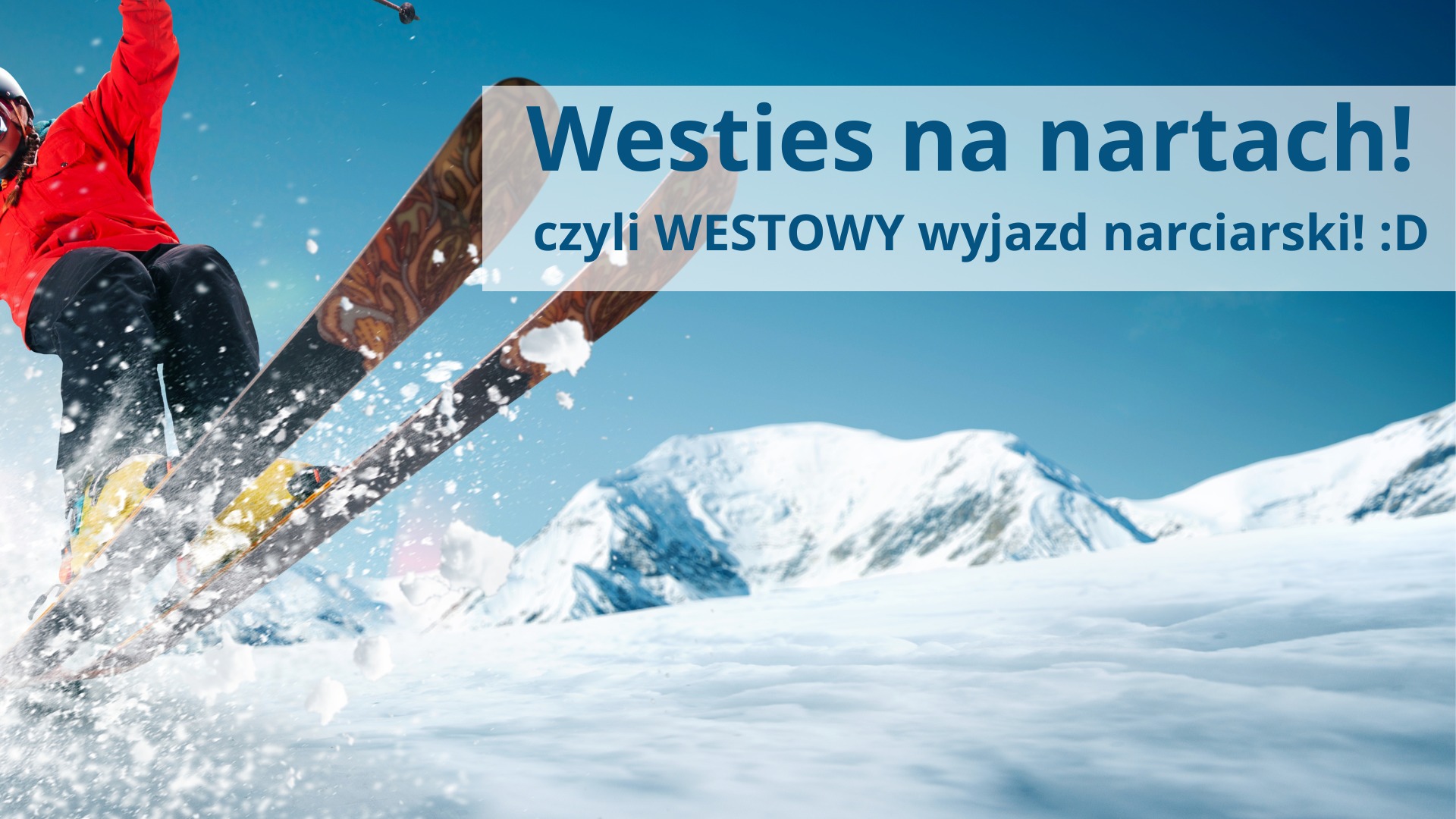 Westies na nartach - wyjazd jednodniowy