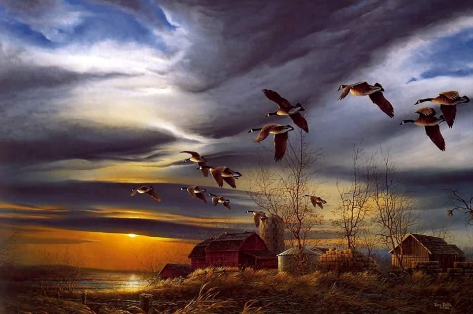Lila Familia ~ Migrations