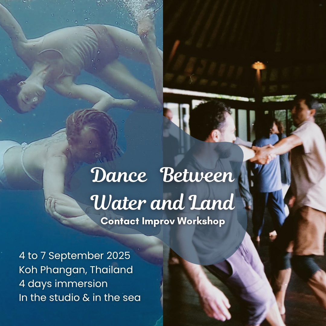 Dance Between Water And Land - Koh Phangan
