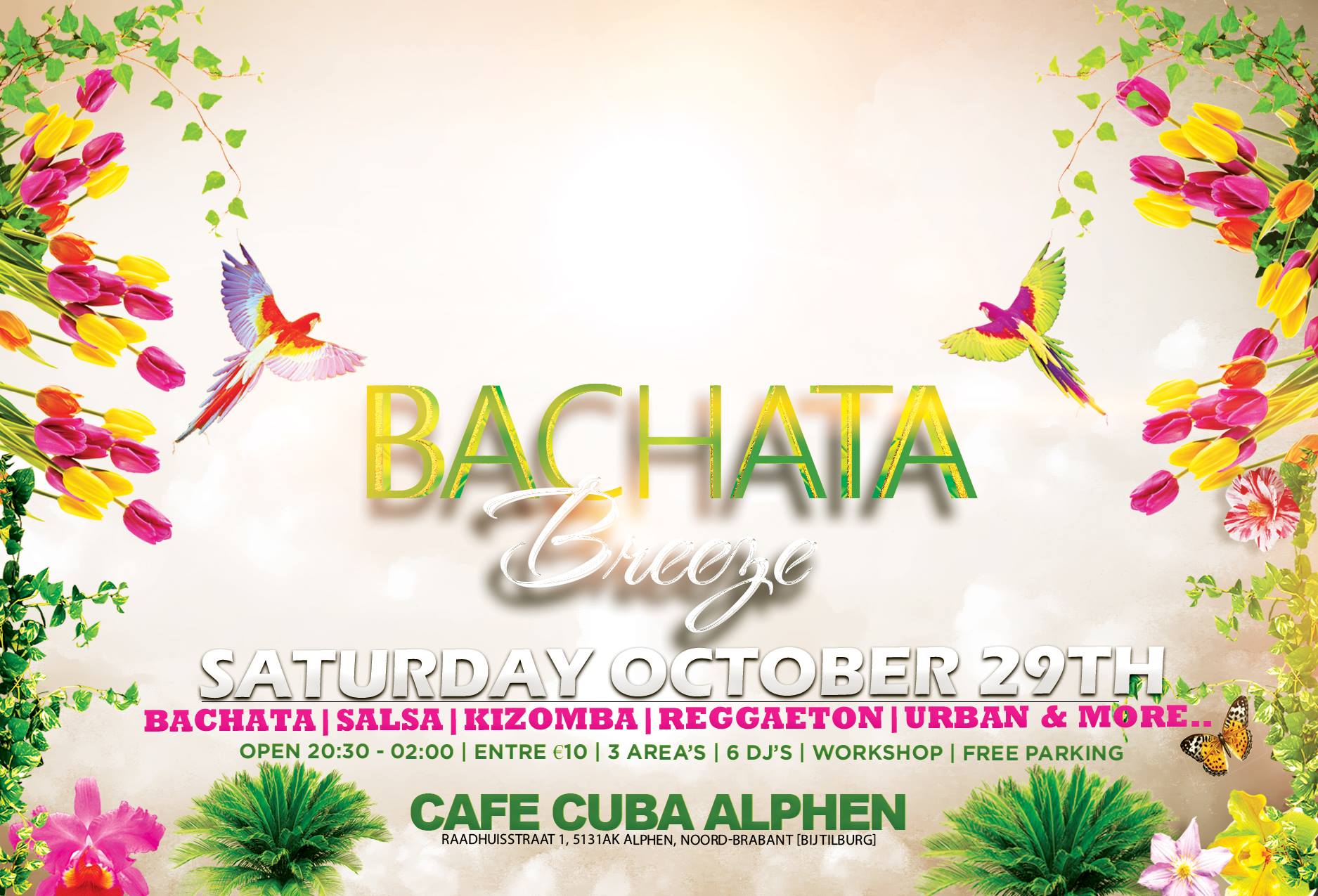 Bachata Breeze - 29.10.2016
