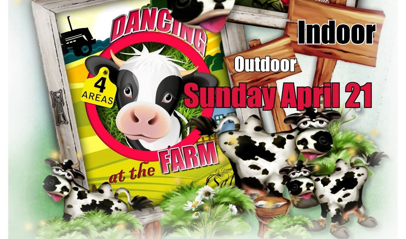 Dancing at the Farm - 4 Areas - In & Outdoor Extreme