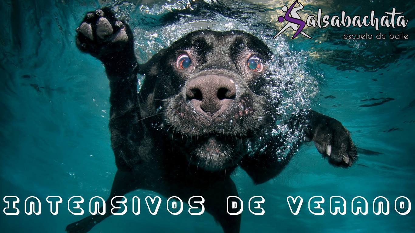 Intensivos de Verano 2018 - Salsabachata
