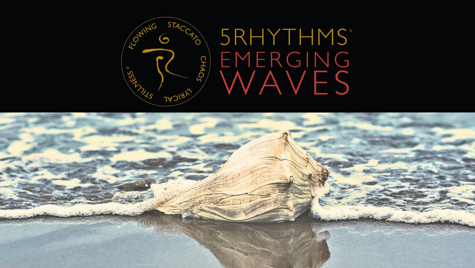 Emerging Waves with Katy Kuhlman