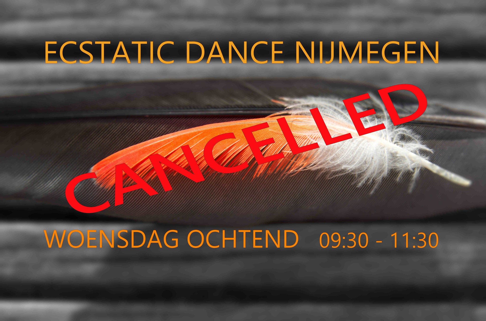 Ecstatic Dance Nijmegen │ CANCELLED
