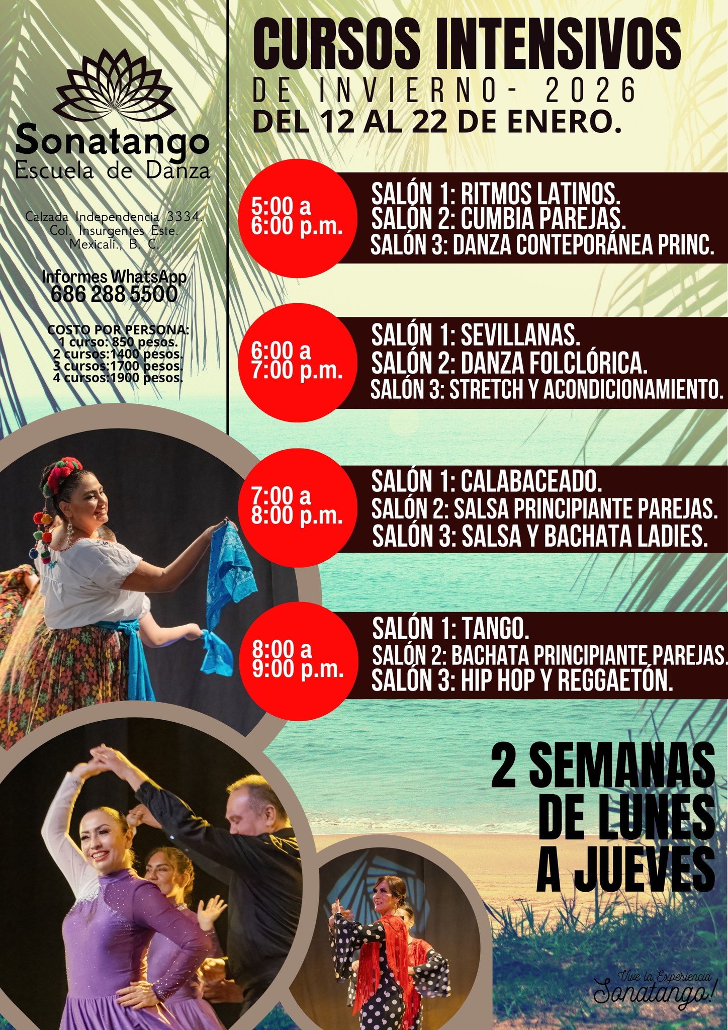 CURSOS INTENSIVO DE INVIERNO ENERO 2026