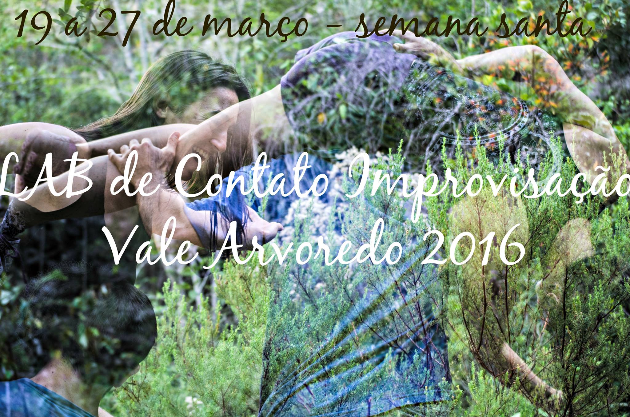 LAB de Imersão em Contato Improvisação - Vale Arvoredo 2016