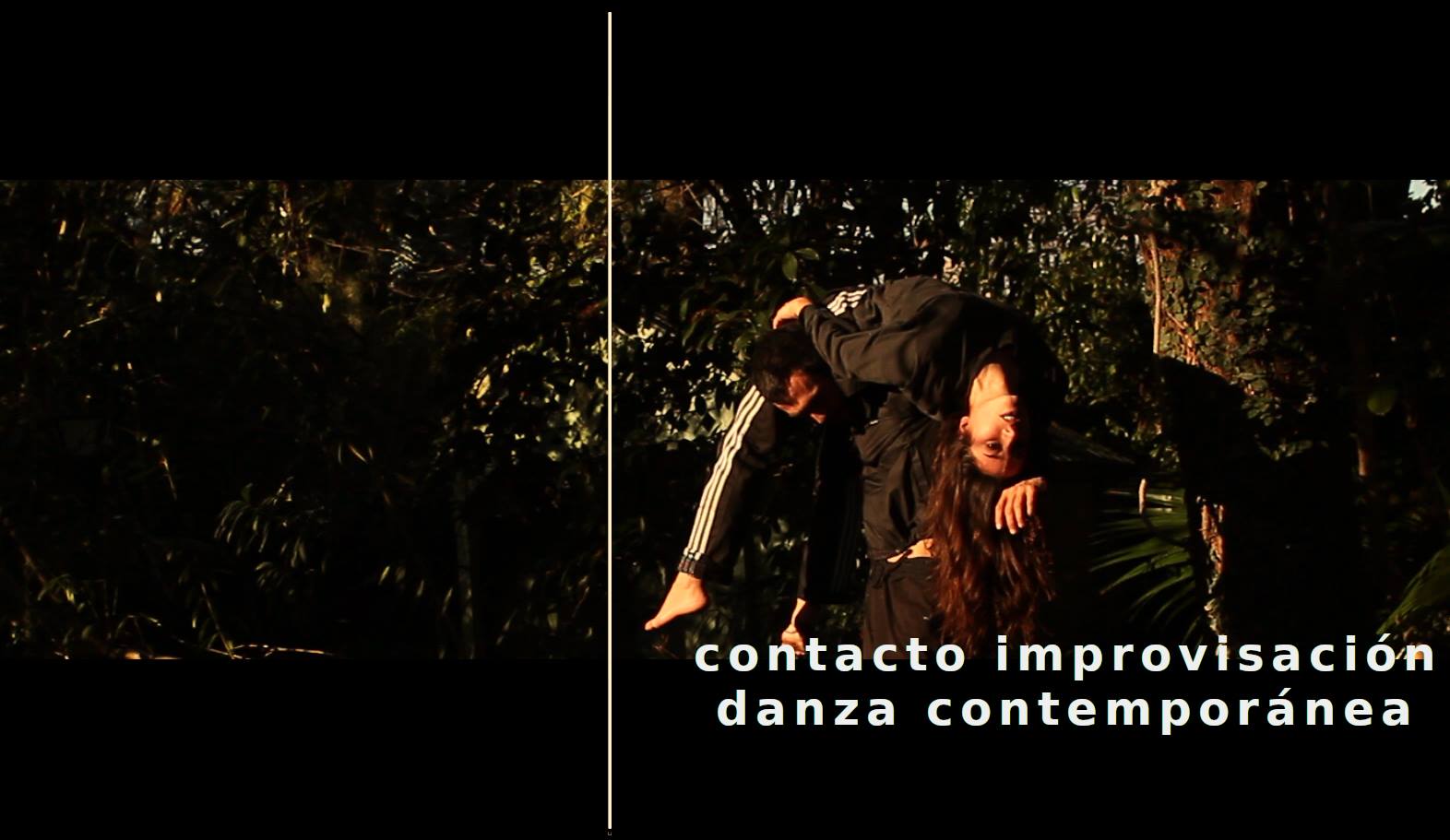 Intensivo De Contacto Improvisación Y Danza Contemporánea