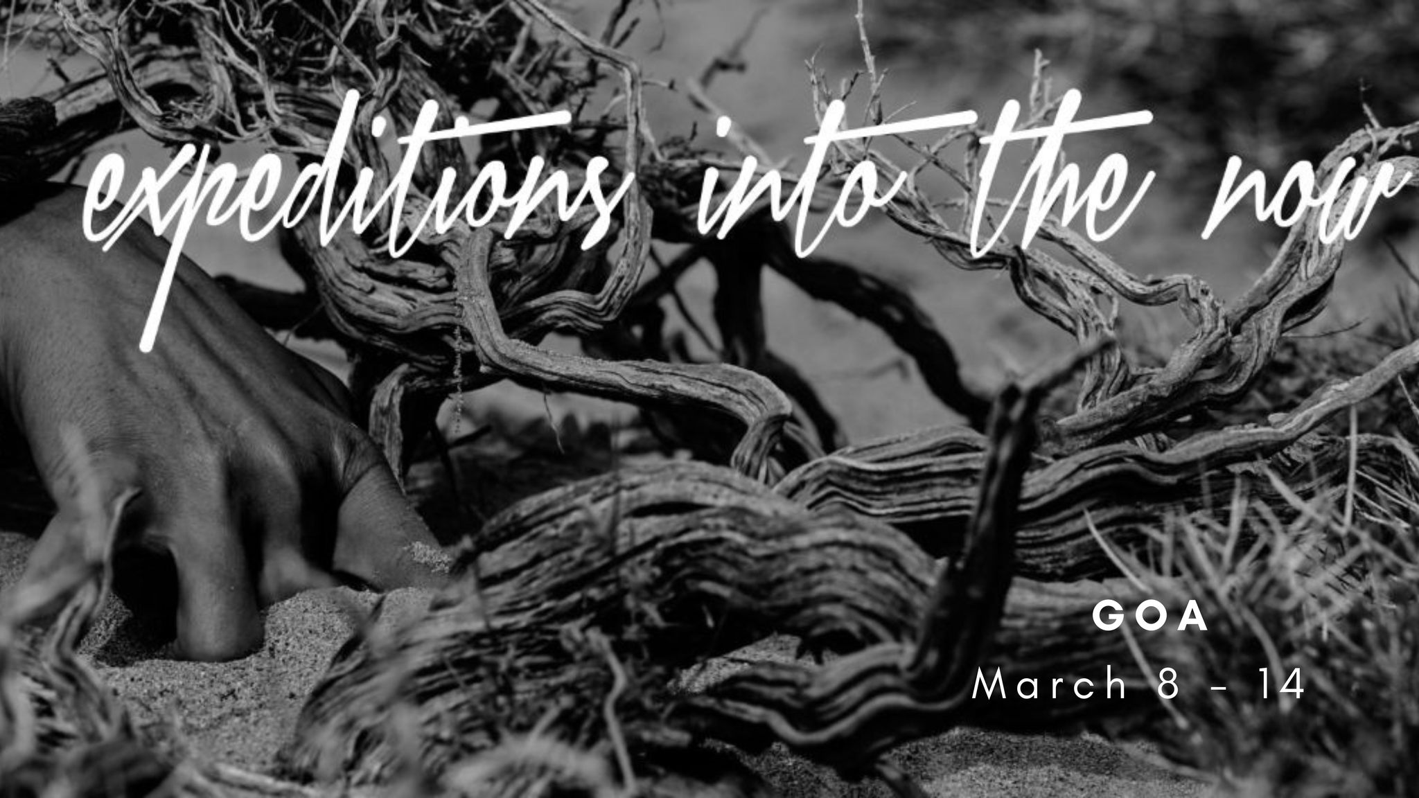 Expedition into the now ( Movement Arts retreat in nature) - south Goa