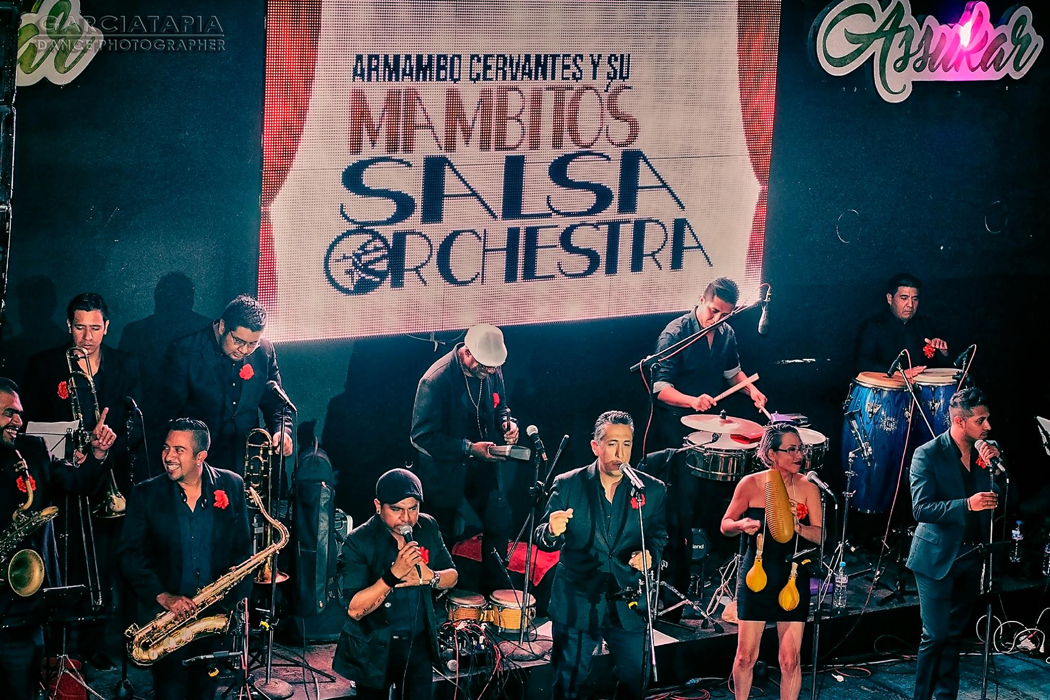 Mambito's Salsa Orchestra en Mambito's Salsa Social