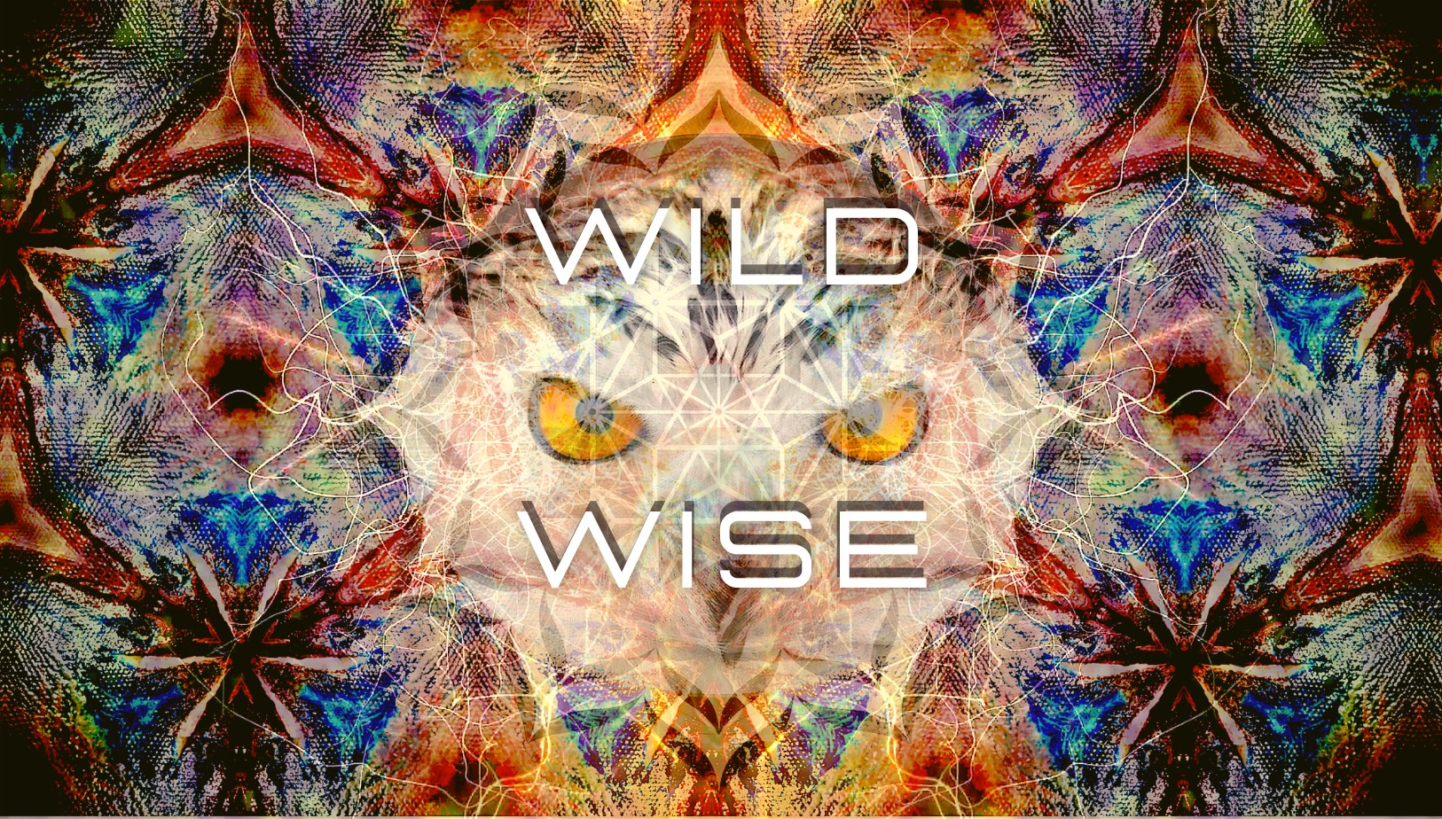 COMPLET! Ecstatic Dance : Wild and Wise!