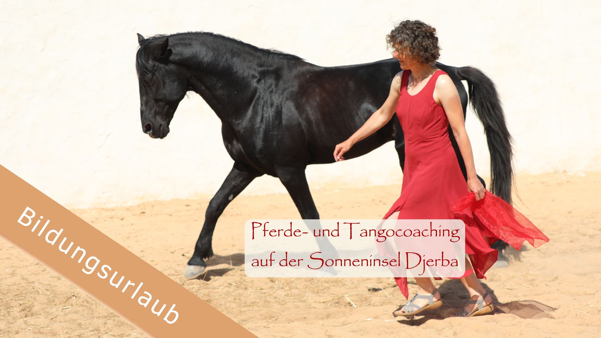 Führen und Geführt werden - Bildungszeit mit Pferde- und Tangocoaching auf Djerba