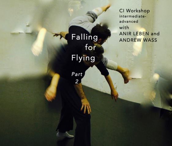 Falling for Flying - Part 2: CI Workshop with Anir + Andrew