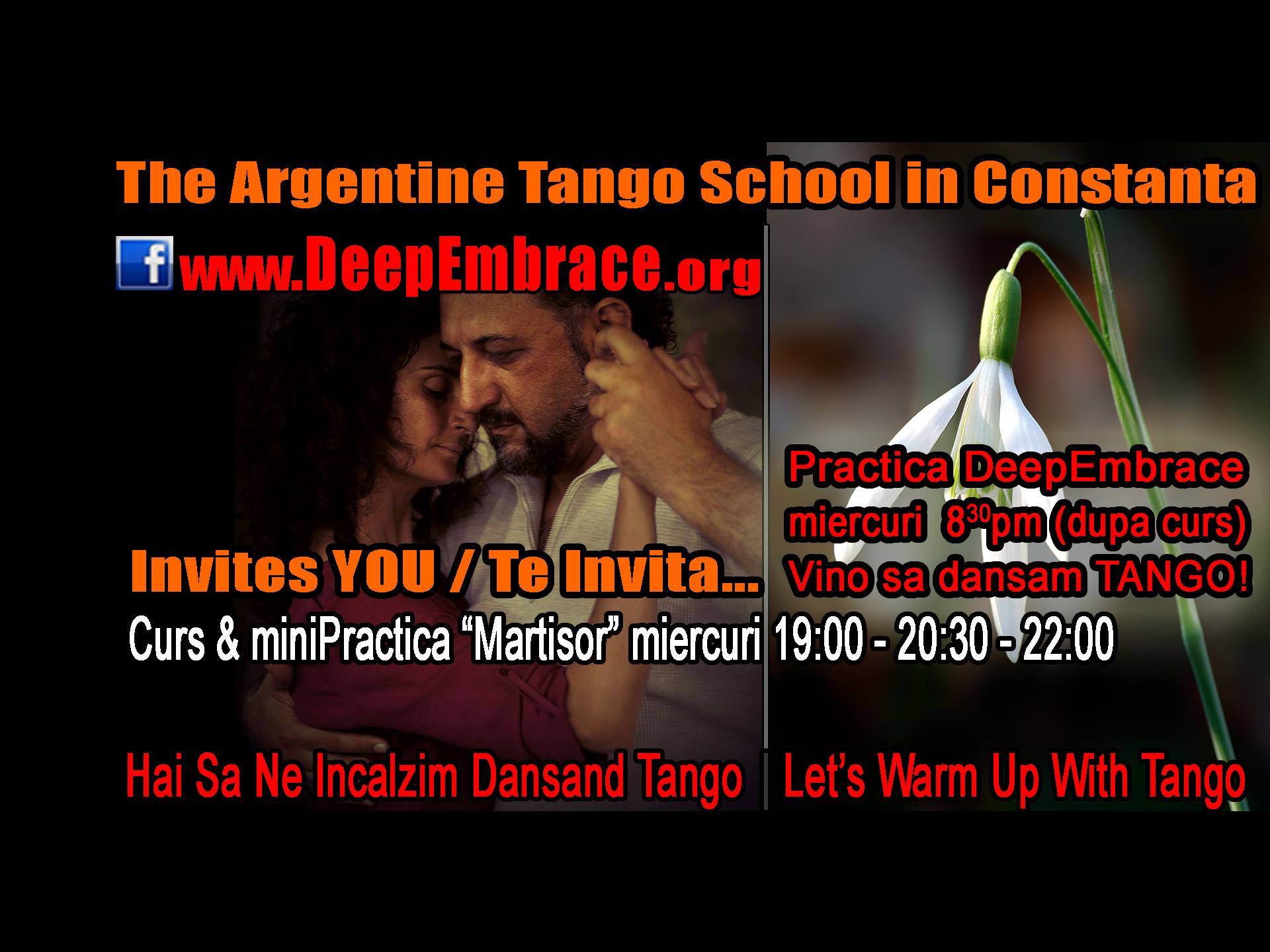 Curs & Practica Martisor, 19:00 - 20:30 - 22:00
